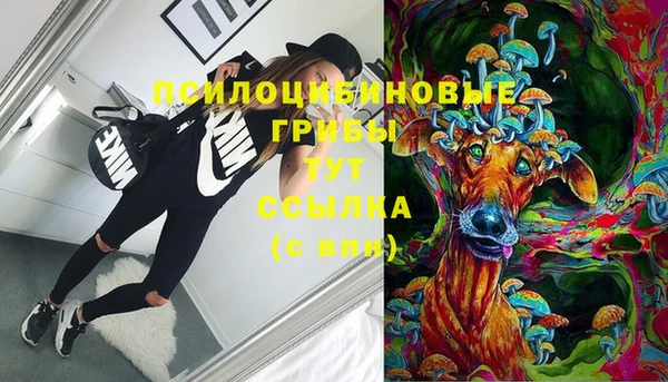мяу мяу мука Алексеевка